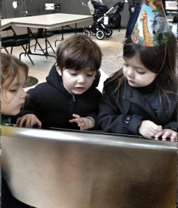 My children at the American Museum of Natural History this morning for a birthday party.
